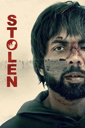 Download Stolen (2025) [WebRip Hindi] ESub 480p 720p